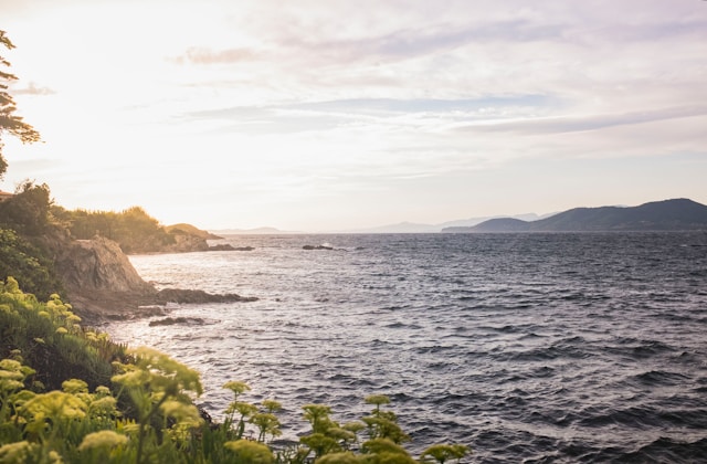 Guide ultime pour des vacances réussies sur la Presqu’île de Giens